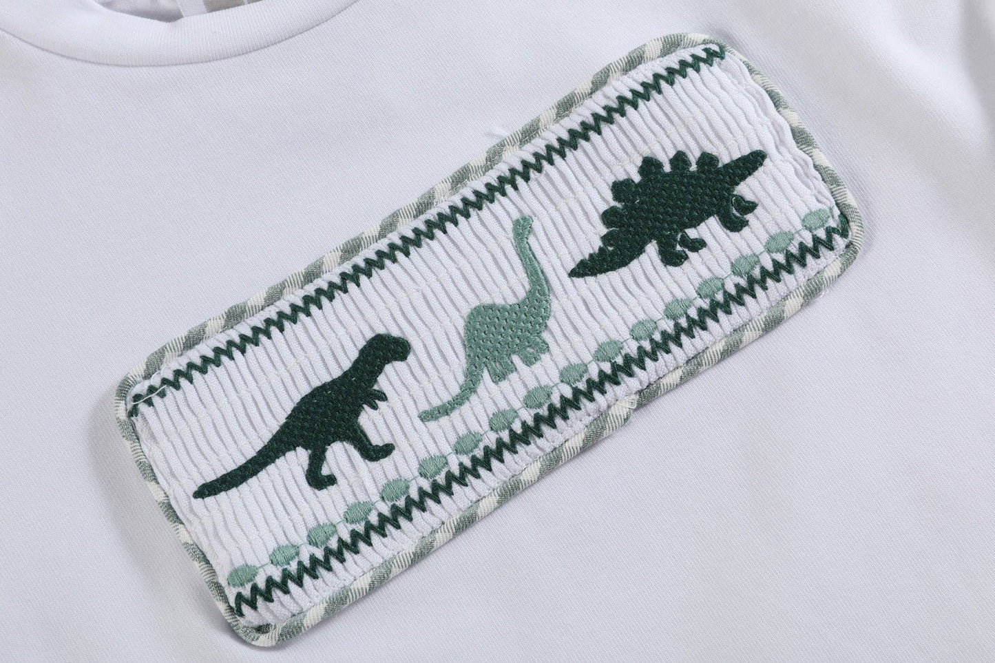 Dinosaur Tee and Shorts Set