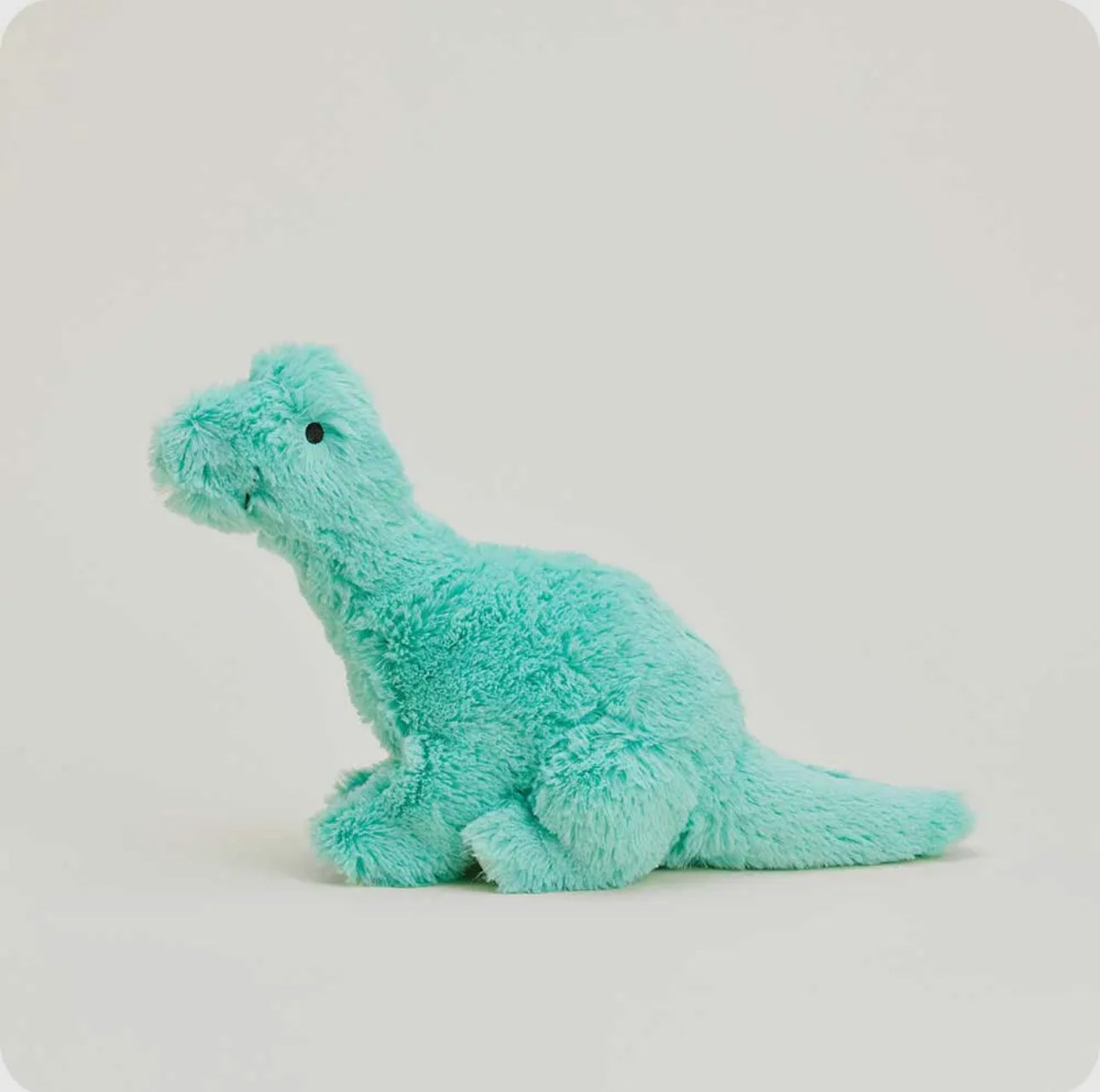 Teal Dino Jr.