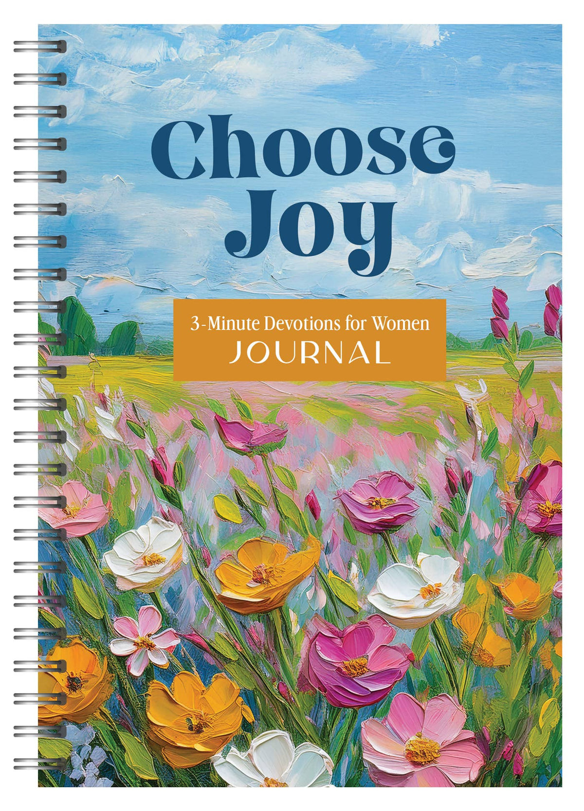 Choose Joy: 3-Minute Devotions for Women Journal (Copy)
