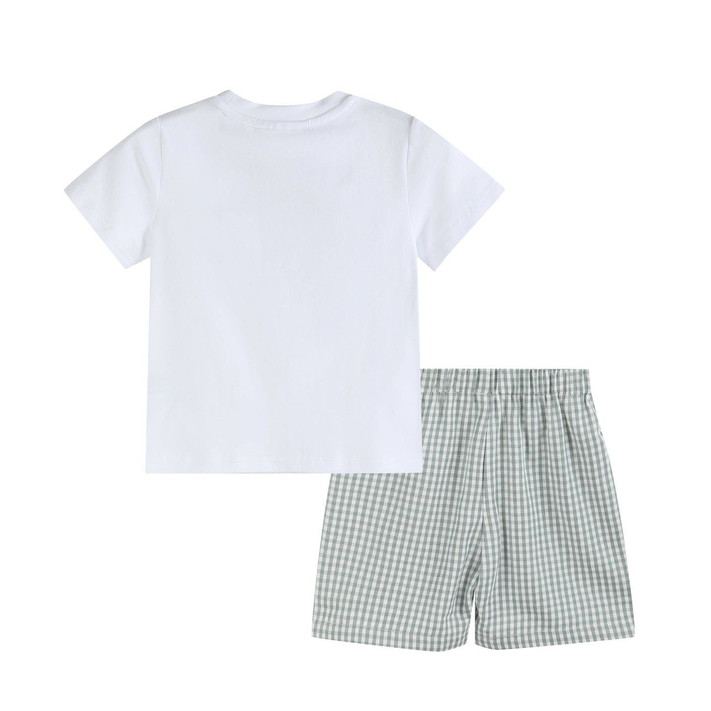 Dinosaur Tee and Shorts Set