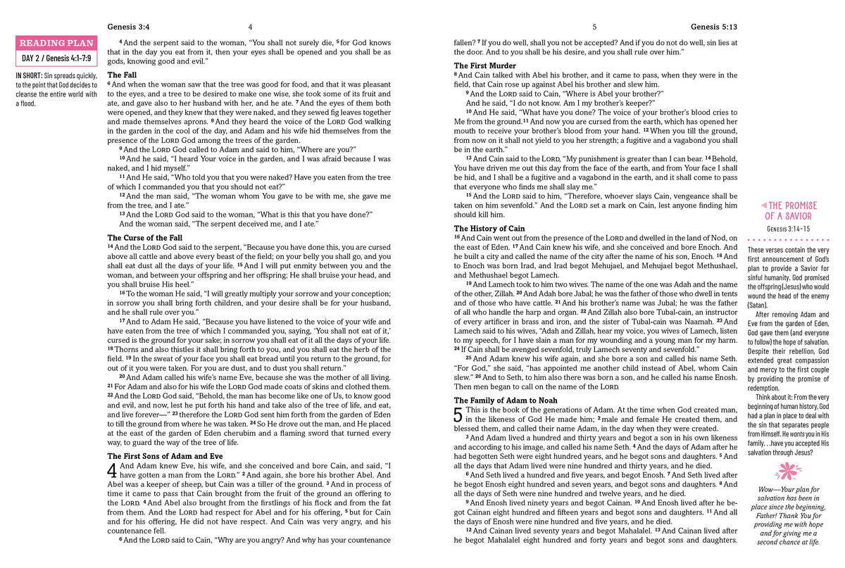 The Barbour Simplified KJV Bible for Teen Girls
