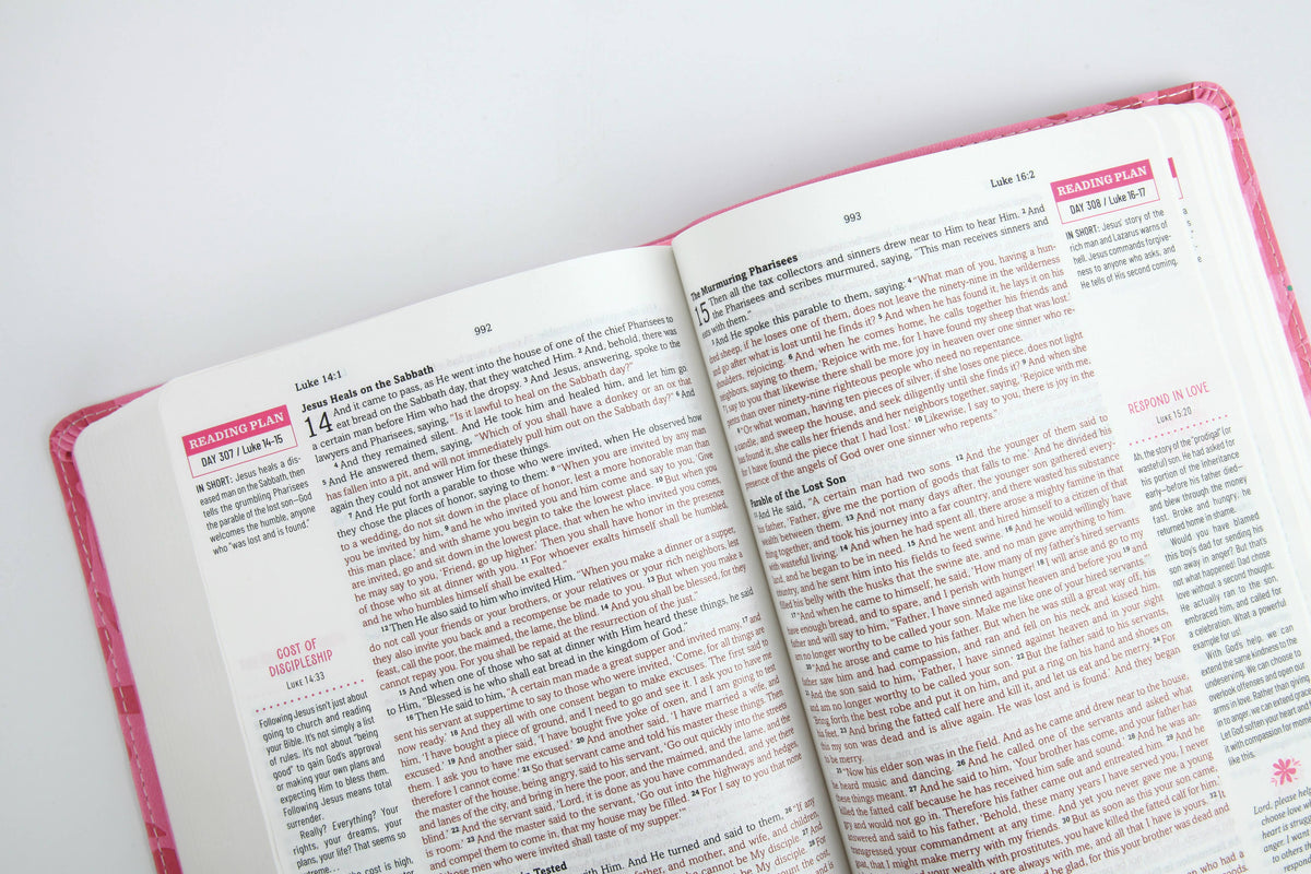 The Barbour Simplified KJV Bible for Teen Girls