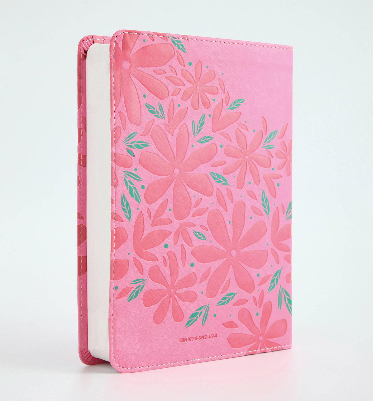The Barbour Simplified KJV Bible for Teen Girls
