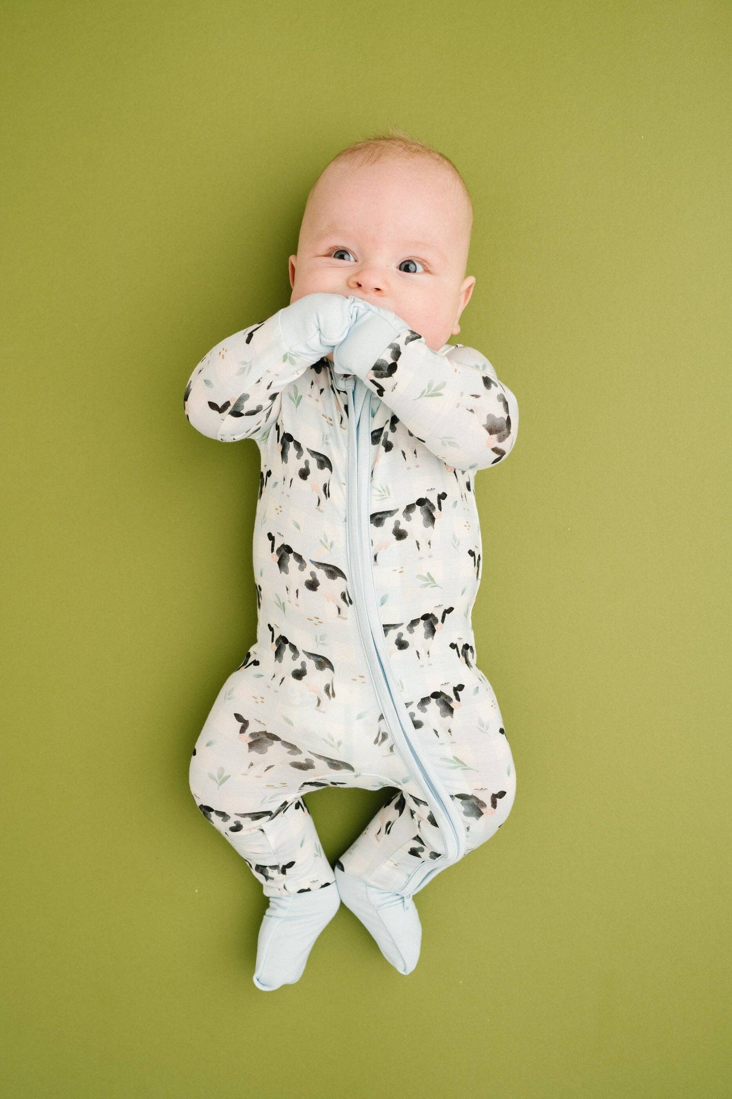 Dairy Cow Bamboo Zippy