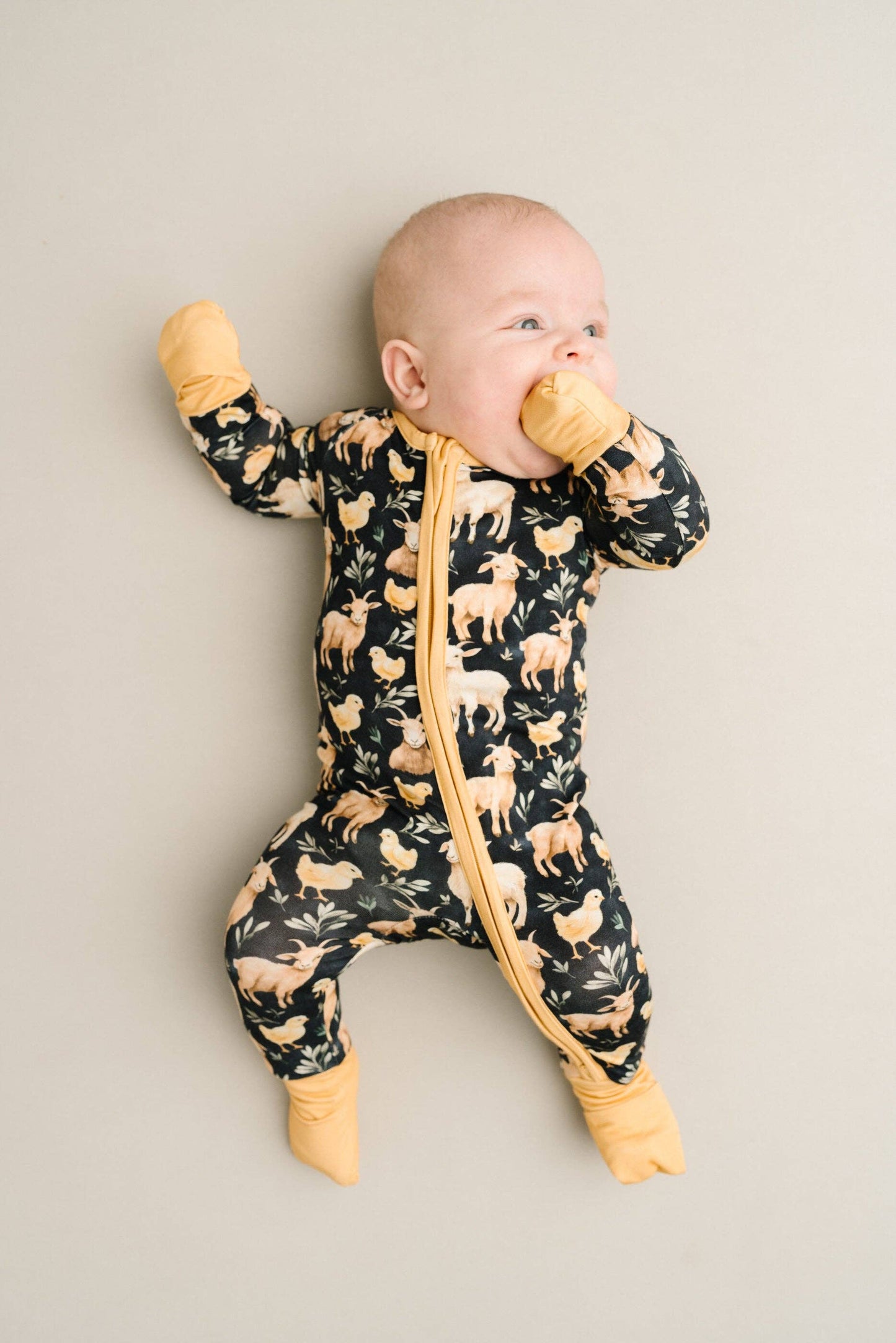 Barnyard Buddies Bamboo Zippy