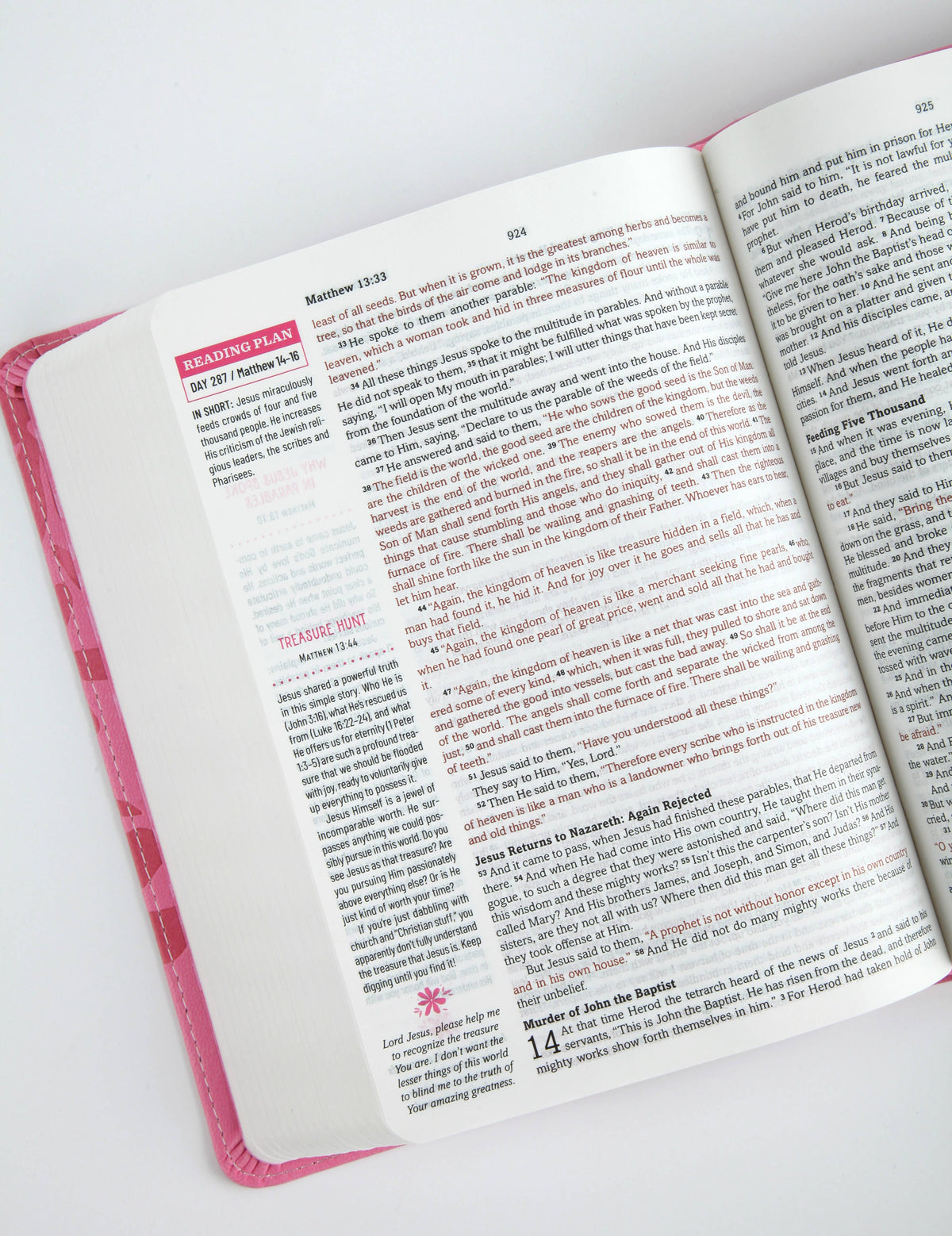 The Barbour Simplified KJV Bible for Teen Girls