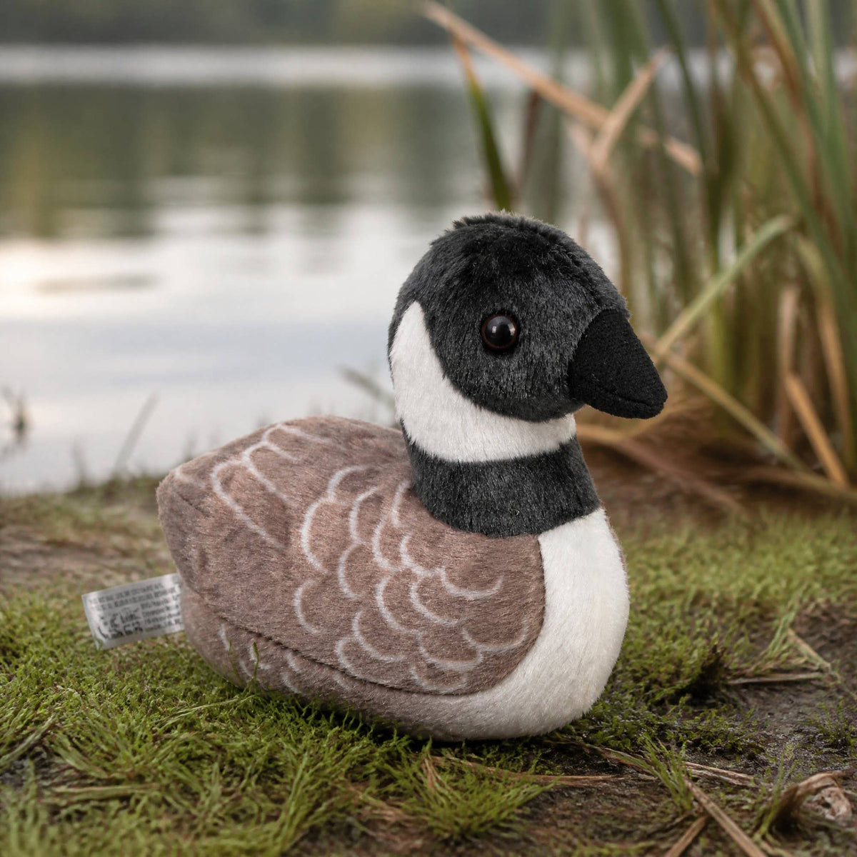 Audubon II Canada Goose Stuffed Animal W Sound 5.5"