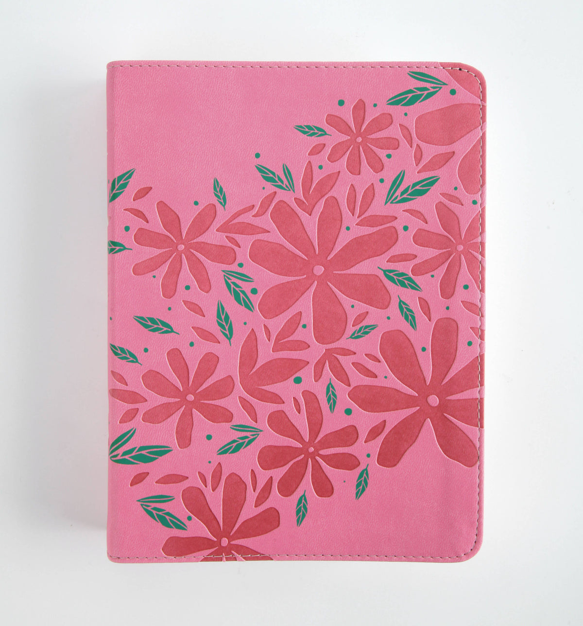 The Barbour Simplified KJV Bible for Teen Girls