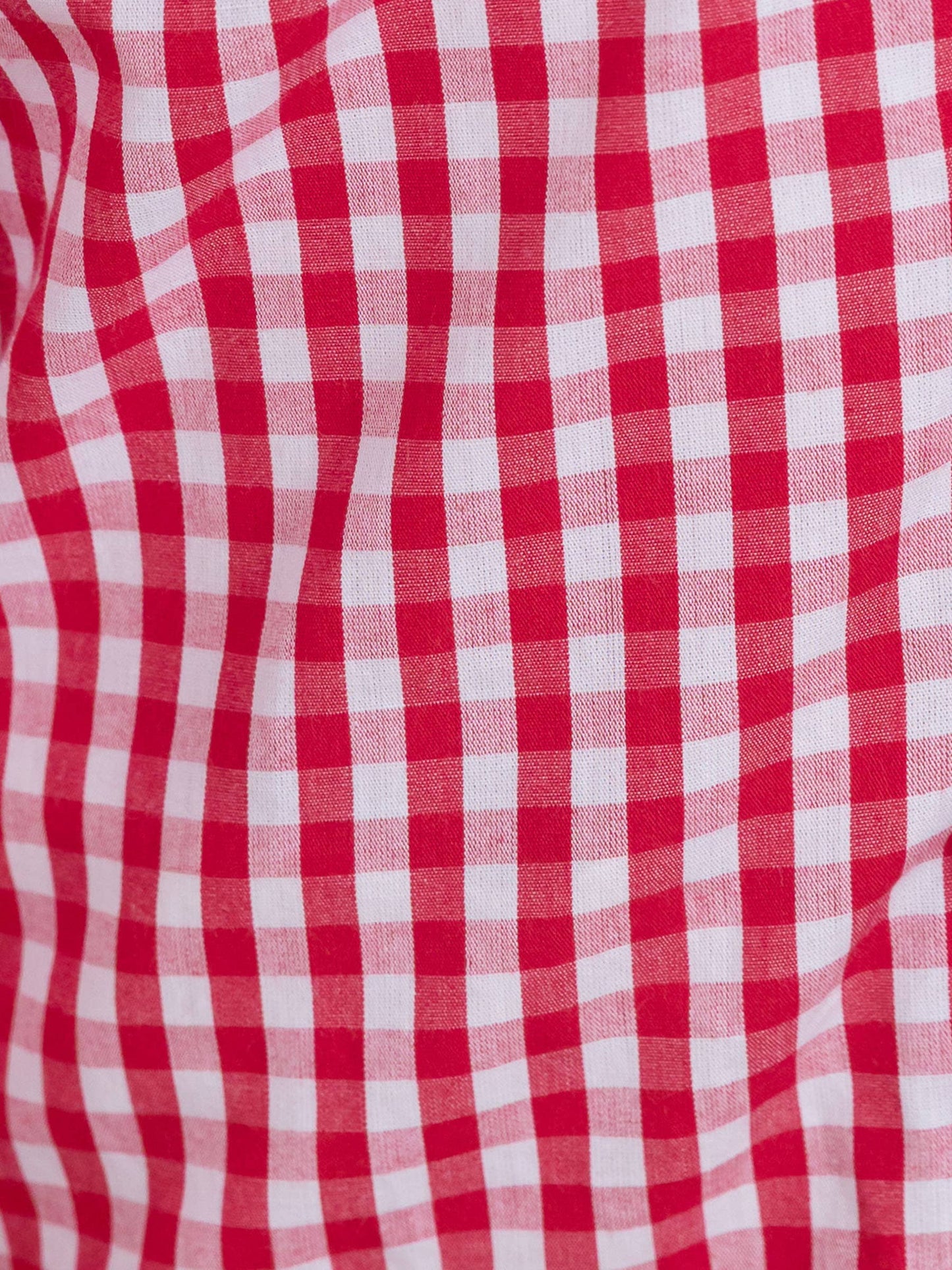 Classic Red Gingham Long Sleeve Button Down