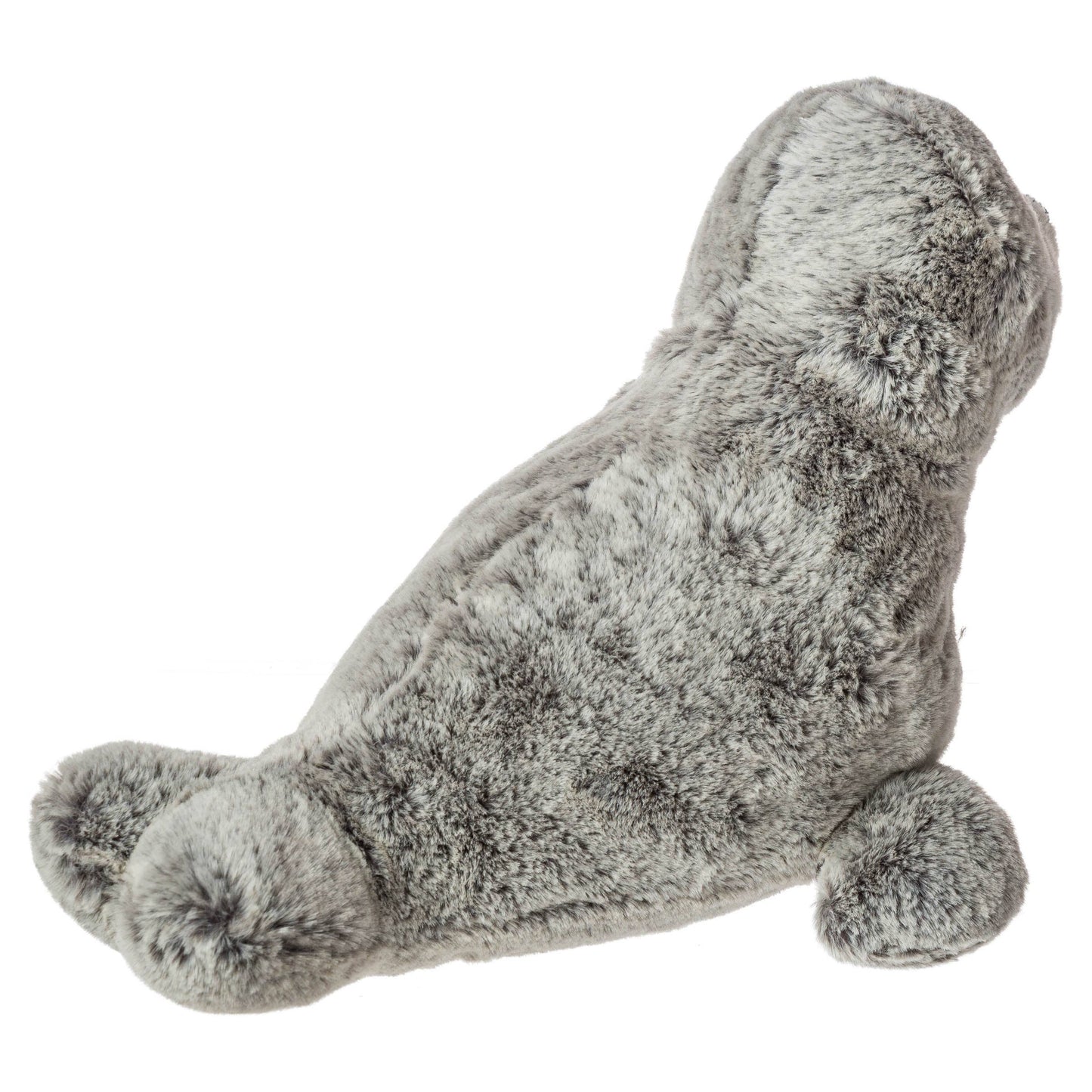 Surfs Up Seal Jr.