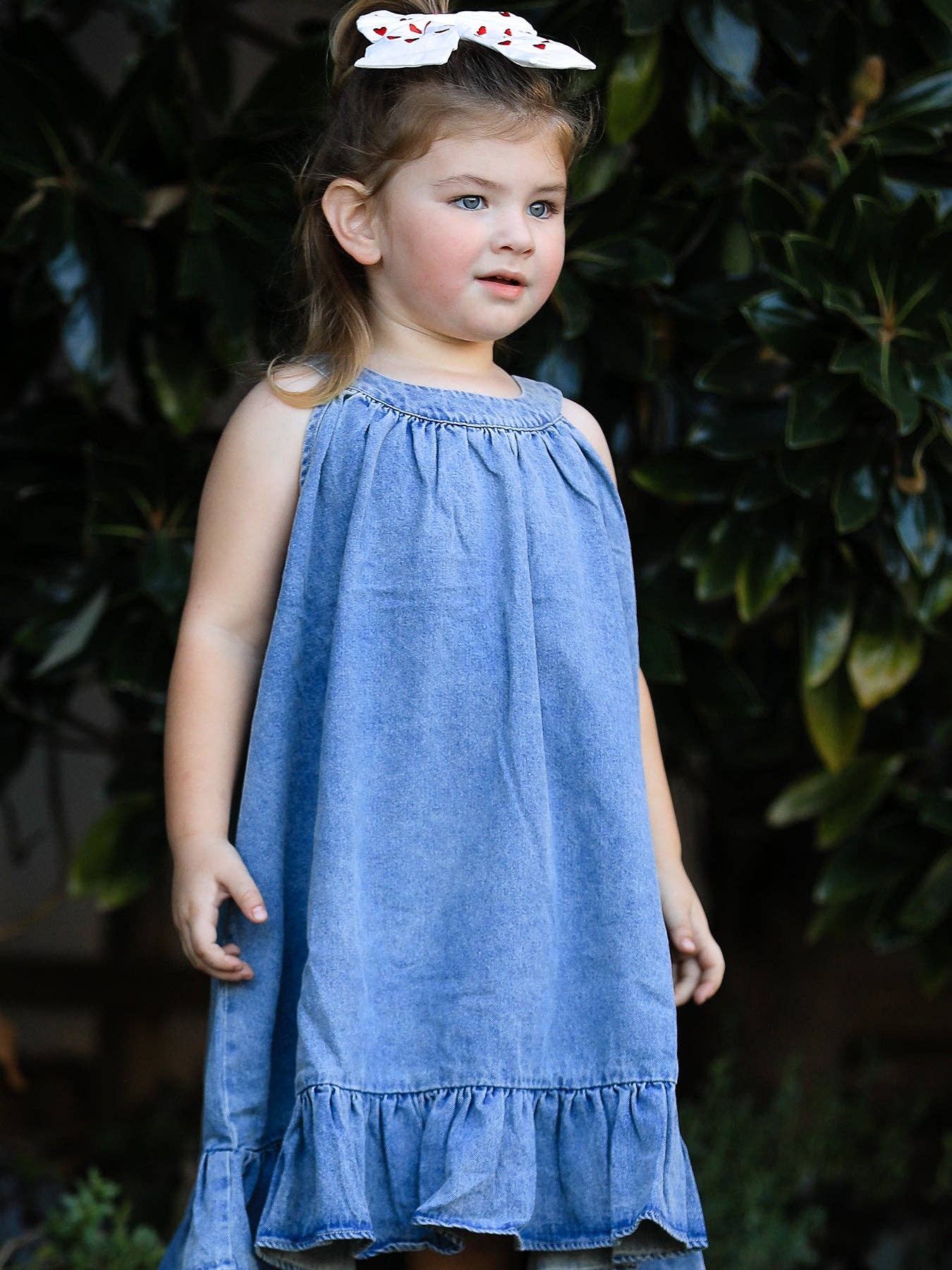 Denim A-Line Dress