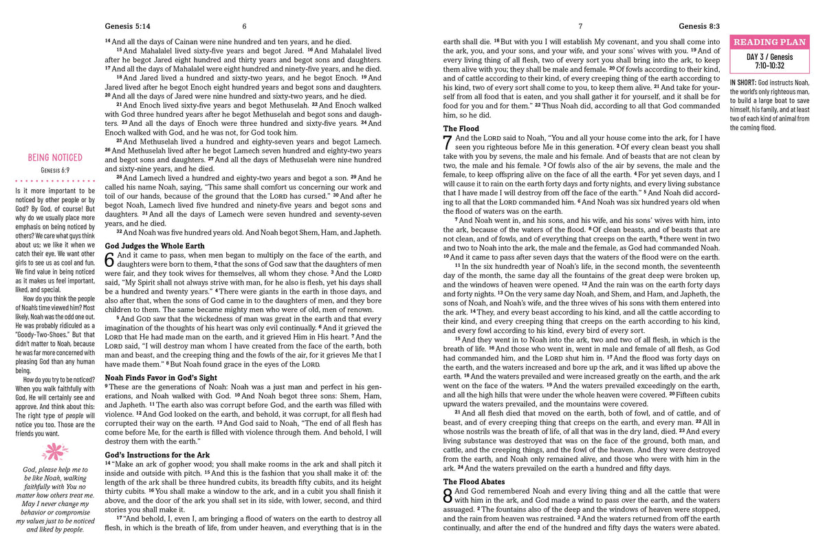 The Barbour Simplified KJV Bible for Teen Girls